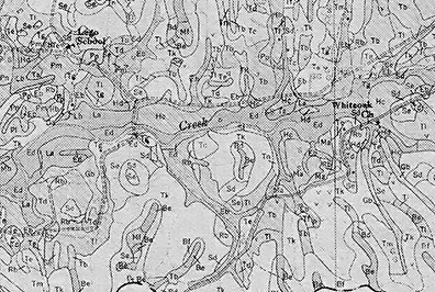 
A soil survey map shows the irregular outlines of each soil group.
